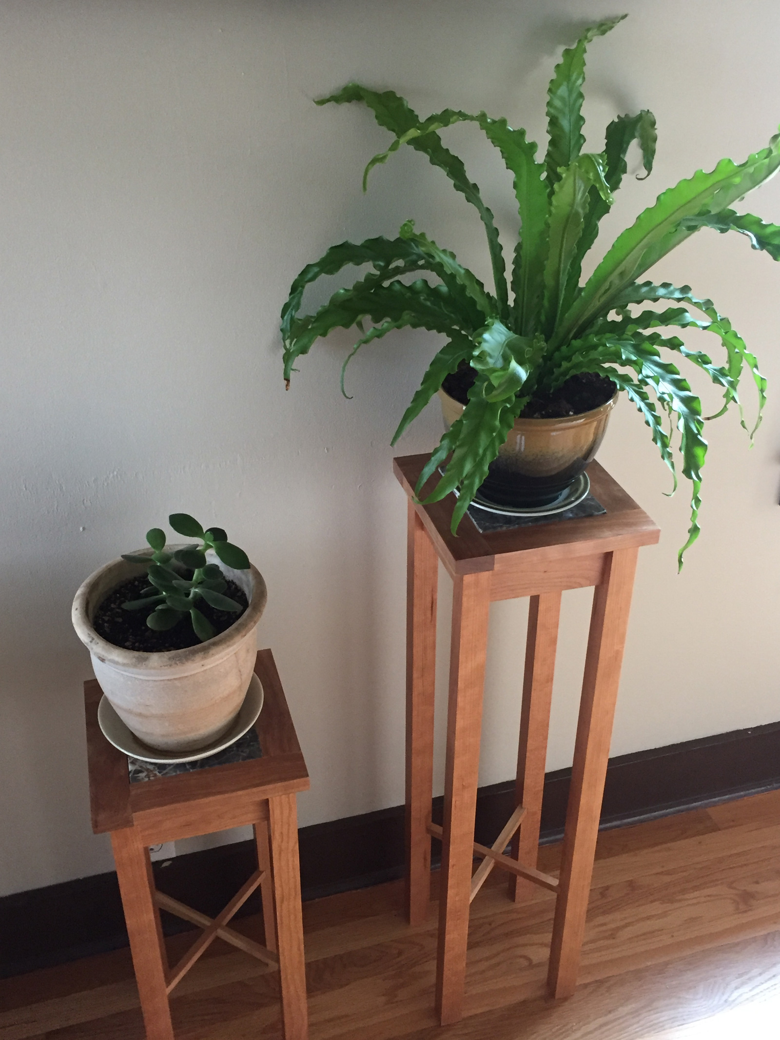 plant stands