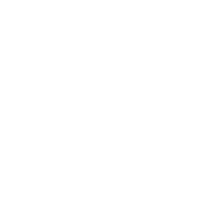 sfo icon