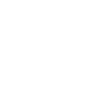 elegance icon
