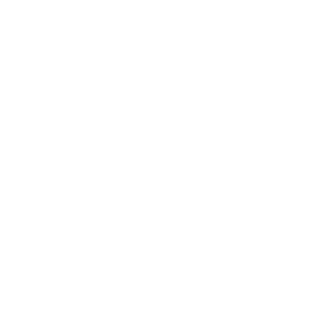 rain icon