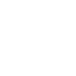 simplicity icon