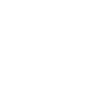 willis lease icon