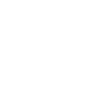 wright icon